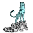 Sticker 🐆 Official Perching Pack