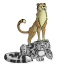 Телеграм стикер 🐆 Official Perching Pack