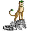 Video sticker 🐆 Official Perching Pack