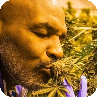 Video sticker 🖼 𝑬𝒏𝒅𝒐𝒓𝒑𝒉𝒊𝒏 Мила