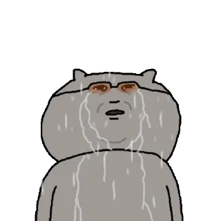 Video sticker 👍 @KakaoEmoji 색안경 낀 고양이 3