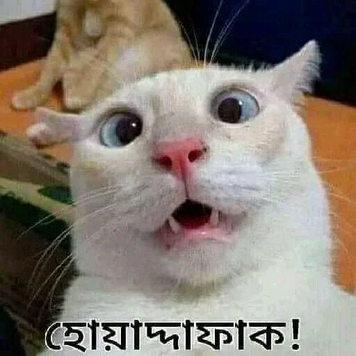 Telegram sticker 😊 Mix Stickers By - @RAFI_BHOI