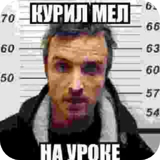 Telegram sticker 🖼 Свинобетонный материал