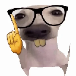 Video sticker 🤓 gifs by tinysoul @kekenda
