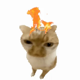 Video sticker 🔥 gifs by tinysoul @kekenda