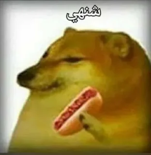 Telegram sticker 🗿 هي خربانة
