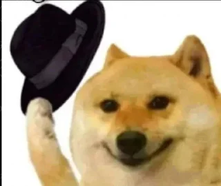 Telegram sticker 🗿 هي خربانة