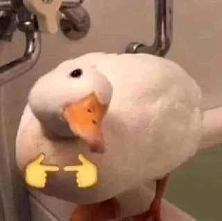 Video sticker 😊 هي خربانة