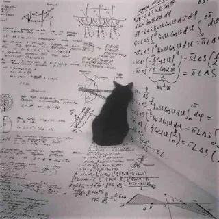 Video sticker 😩 هي خربانة