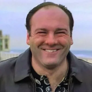 Telegram sticker 😃 Gandolfini’s Negro-hour (@CalsiBot)