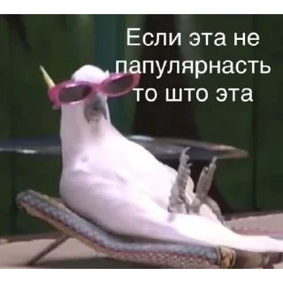 Sticker 😎 Одни эмоции