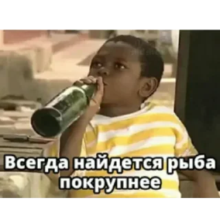 Video sticker 😎 Одни эмоции