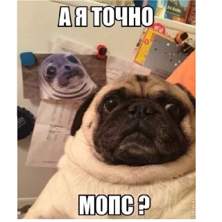 Telegram sticker 😨 мiпсы
