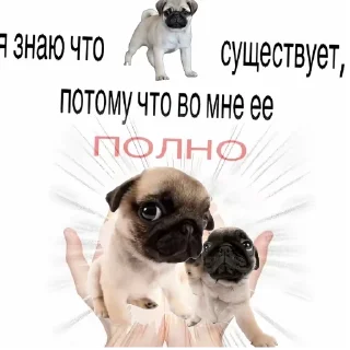 Telegram sticker 😌 мiпсы