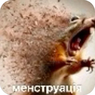 Video sticker 🫥 Будда и тд :: @fStikBot