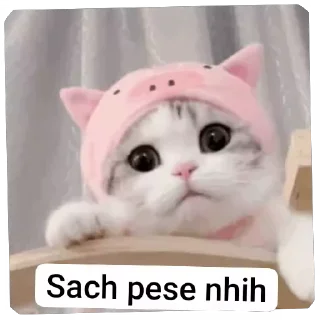 Video sticker ⭐ Allu