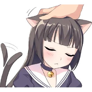 Video sticker ✳️ Meow @StickersCloud