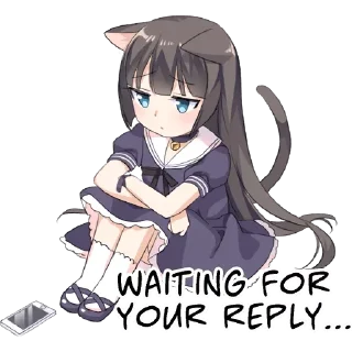 Video sticker ✳️ Meow @StickersCloud