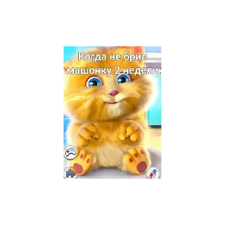 Telegram sticker 🐱 Сколько получу па жопе? :: @fStikBot