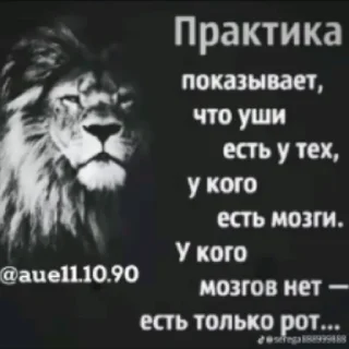 Video sticker ☝️ dmlixxx