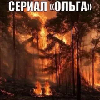 Telegram sticker 🦆 dmlixxx