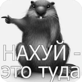 Video sticker 🫥 жизнь ➡️ @Ctikerubot