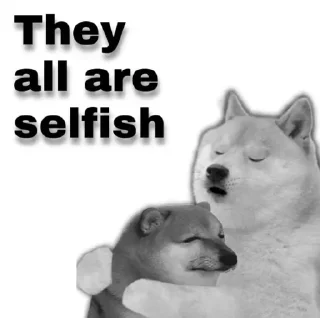 Video sticker 🏵 ᴍᴀʀɪɴ ᴋɪᴛᴀɢᴀᴡᴀ's sticker pack (@Marin_Roxbot) 1