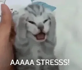 Telegram stiker 💀 ᴍᴀʀɪɴ ᴋɪᴛᴀɢᴀᴡᴀ's sticker pack (@Marin_Roxbot) 1