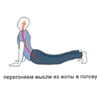 Video sticker 😀 Семеро насрали один носит №1