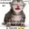 Video sticker 🌟 пиздецц2 ::...
