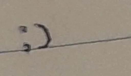 Telegram sticker 🌟 Vidorra: :: @fStikBot