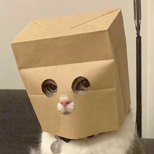 Telegram sticker 😶 Vidorra: :: @fStikBot