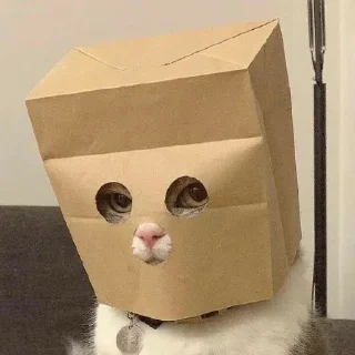 Video sticker 😶 Vidorra: :: @fStikBot