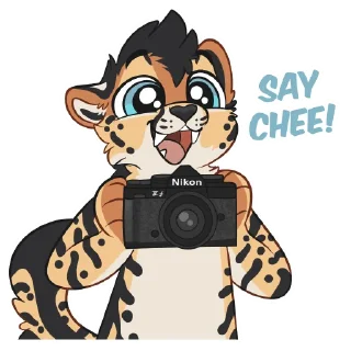 Video sticker 📸 Archer