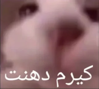 Telegram sticker 🍆 یالله @DieYc