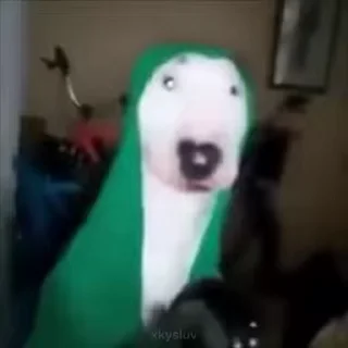 Video sticker 🥘 Krinta yogato :: @fStikBot