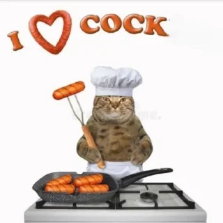 Telegram stiker 🐈 ᘛ⁠⁐̤⁠ᕐ⁠ᐷ stickers → @plusikradom