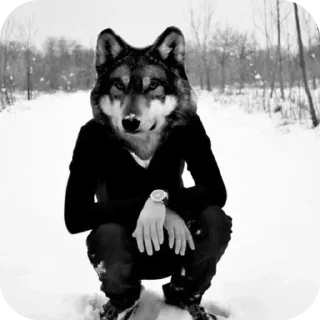 Telegram sticker 🐶 @lunarfoxhound :: @fStikBot