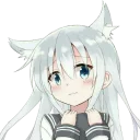 Телеграм стикер 😽 Loli