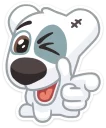 Video sticker 😉 Spotty (@TgSticker)