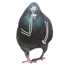 Telegram stiker 🙀 Pigeons with hands