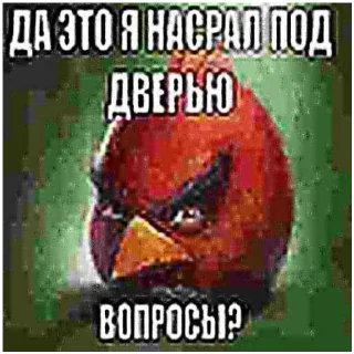 Telegram sticker 🍔 Кто спиздит стикеры тот гей без мамы