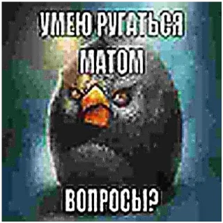 Telegram sticker 🍔 Кто спиздит стикеры тот гей без мамы