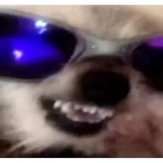 Sticker 🤪 @itsmecsf | Furtadas do Furtado