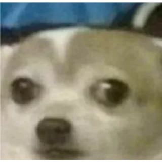 Telegram sticker 🤔 @itsmecsf | Furtadas do Furtado