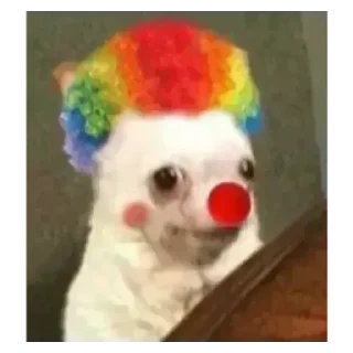 Telegram sticker 🤡 @itsmecsf | Furtadas do Furtado