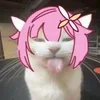 Video sticker 🌟 Ультранас...