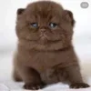 Sticker 🌟 Ультранасилие инвалидов :: @fStikBot