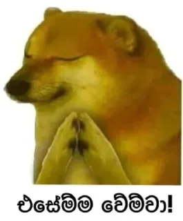 Telegram sticker 🤔 Anjanas kang pack