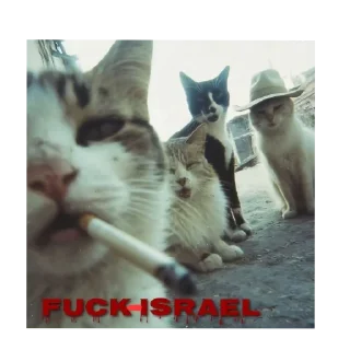 Telegram sticker 🐱 Preto é gente?